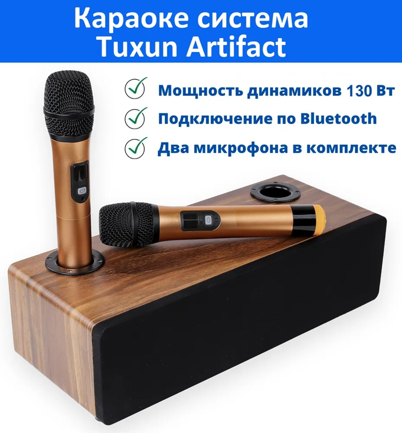 Professional Karaoke Wireless  - огляд і ціна Home Cinema Audio System