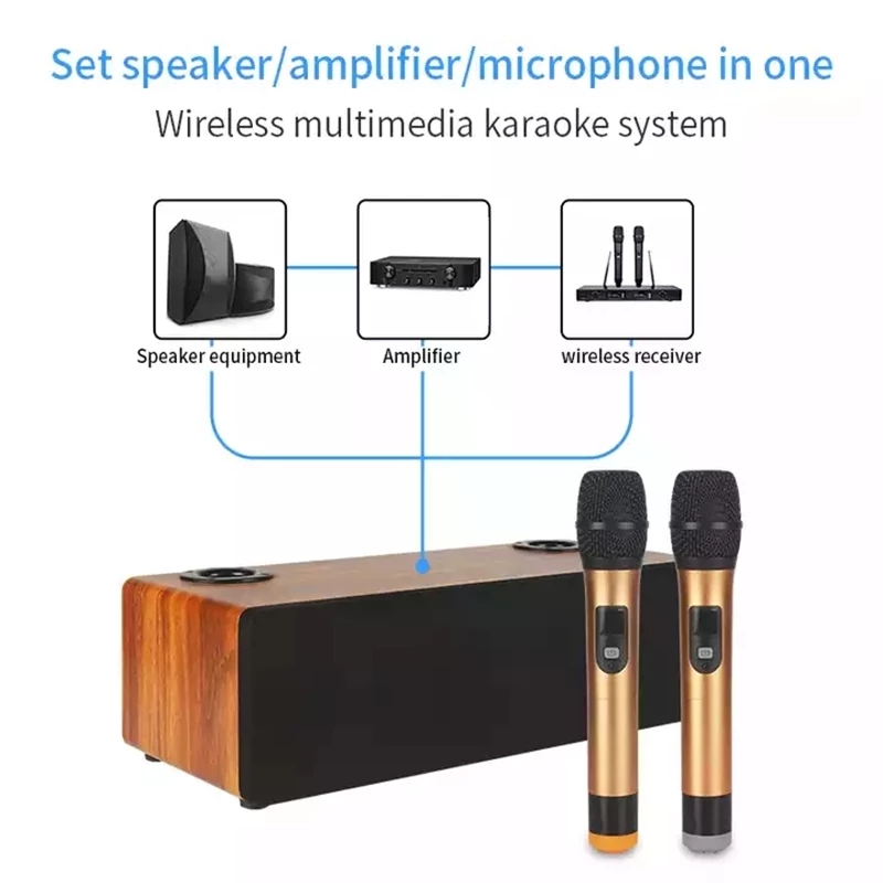 Professional Karaoke Wireless  - огляд і ціна Home Cinema Audio System