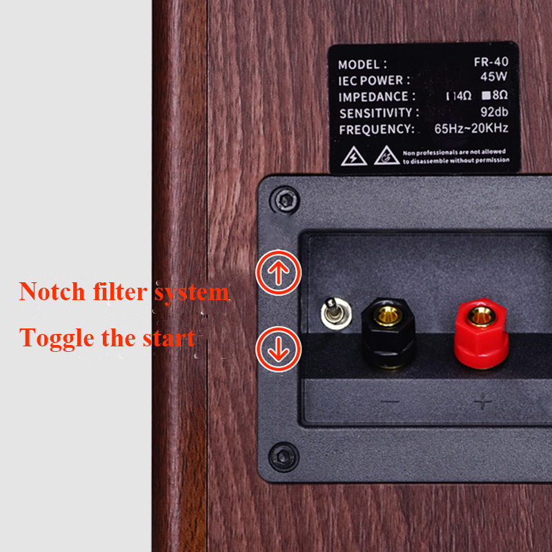FR40 Lossless HIFI Passive Spe - огляд і ціна Home Cinema Subwoofer